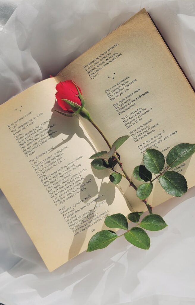 Red rose on an open book of poetry, symbolizing romance and literary beauty.